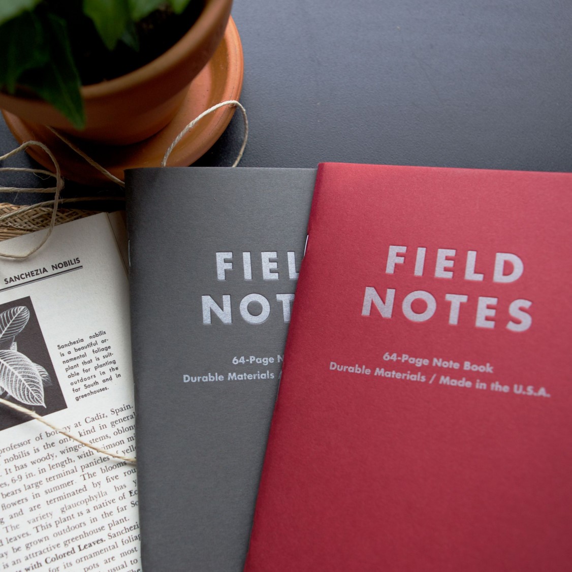 The Essential Guide to Field Notes Notebooks - LooperBuy