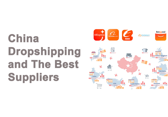 Wholesalers Explained: How They Power the Modern Supply Chain and E Commerce Growth